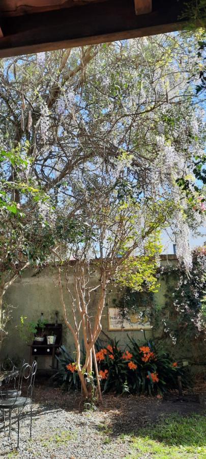 فيلا كولونيا ديل ساكرامينتوفي Casa En Barrio Historico المظهر الخارجي الصورة